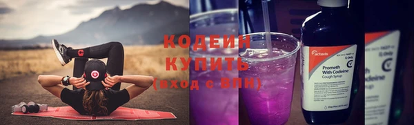 твердый Инсар