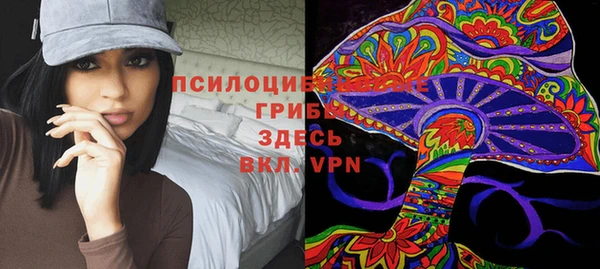 метадон Армянск