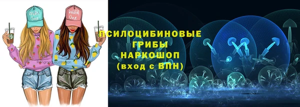 МДПВ Арсеньев
