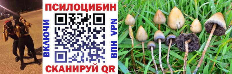 где можно купить наркотик  MEGA зеркало  Галлюциногенные грибы ЛСД  Дедовск 